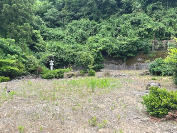 越前市村国1丁目132坪売地の外観