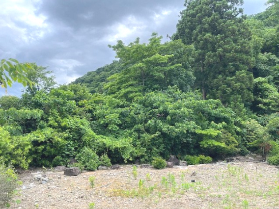 越前市村国1丁目132坪売地の外観