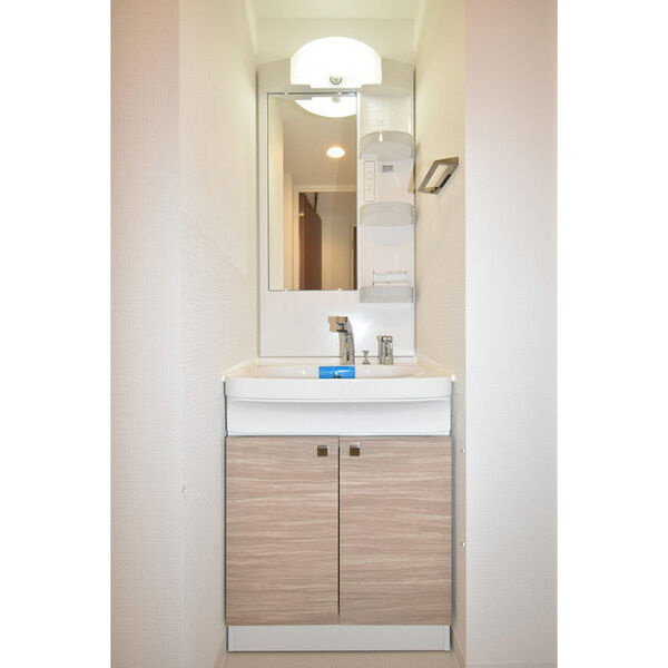 エスリード新栄テセラの洗面所