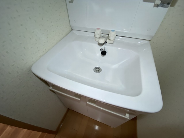 神戸市長田区西山町３丁目の賃貸マンションの洗面所|独立洗面台