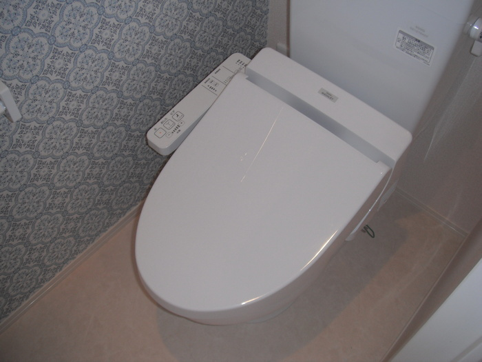 Ｄ－ｒｏｏｍ清水のトイレ|トイレ