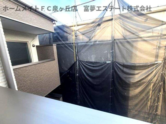 【展望】 | F asecia kanoa（エフアセシアカノア）