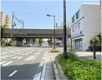 【周辺】 | バンベール堺フェニックス通り | 物件前道フェニックス通りです