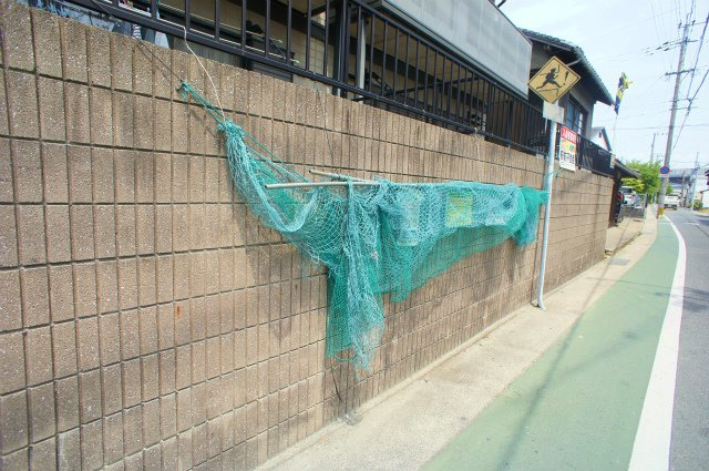 チェリーハイツ【キャッシュバック対象物件】のエントランス|ゆとりのあるエントランスです