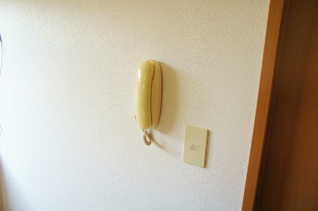 チェリーハイツ【キャッシュバック対象物件】のセキュリティ