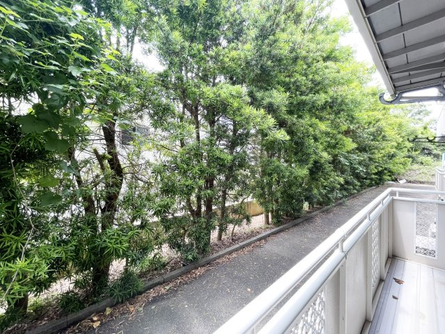 セジュール園木　Ｂ棟の展望