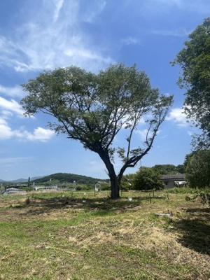 【外観】 | 桜川市青柳4137坪売地