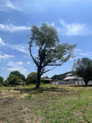 【外観】 | 桜川市青柳4137坪売地