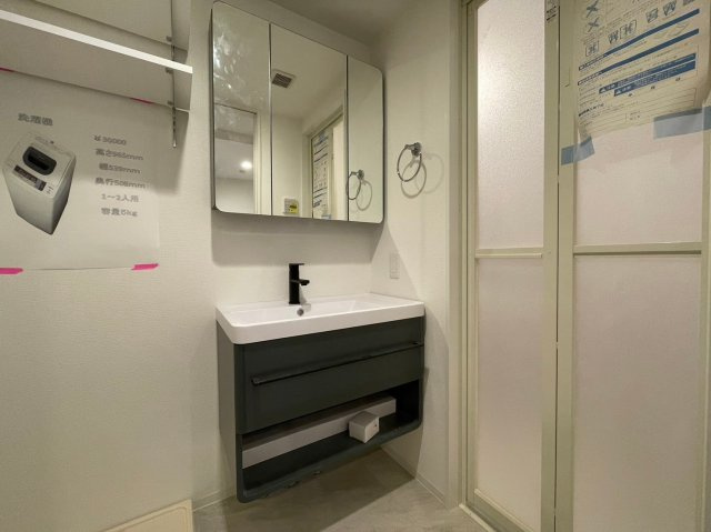 セレニテ難波グランデシュッドの独立洗面台