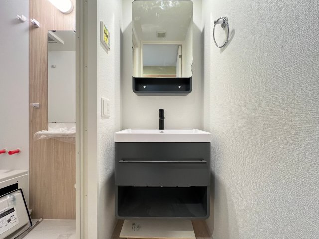 セレニテ難波グランデシュッドの独立洗面台
