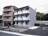 ブラウンポートアオキの画像