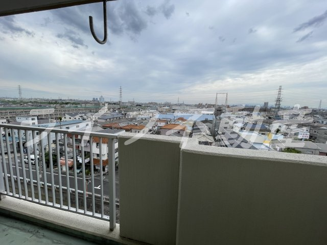 デュエリングナガトの展望