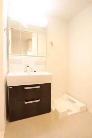 大阪市城東区中央２丁目の賃貸マンションの独立洗面台