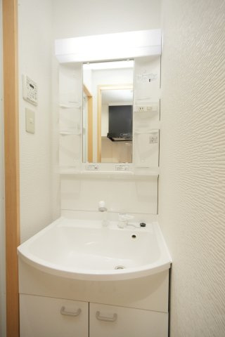 LA SPERANZA33の洗面所|301号室