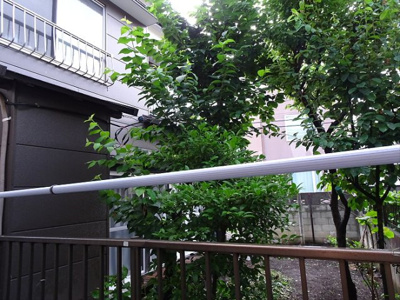 【展望】 | コーポ五輪