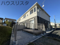 サンフラワーの画像