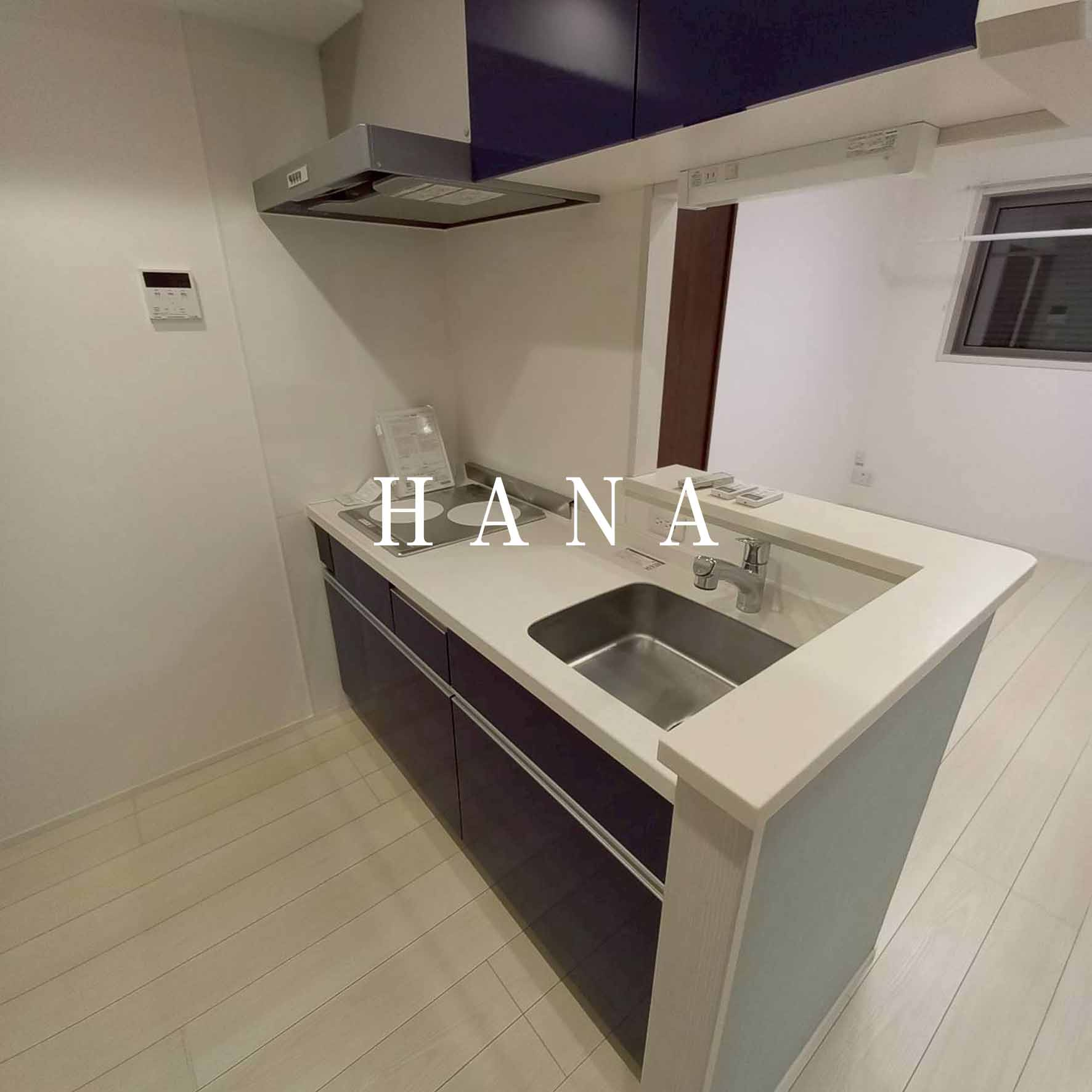 Ｒｉｏ　ｈｉｅｒｒｏ のキッチン