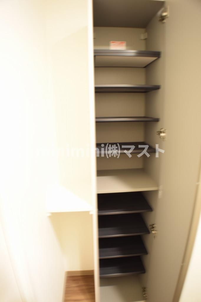 パークヒルズ難波南haneulの収納