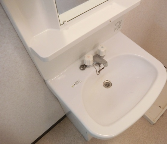 シャトーかわもとの洗面所