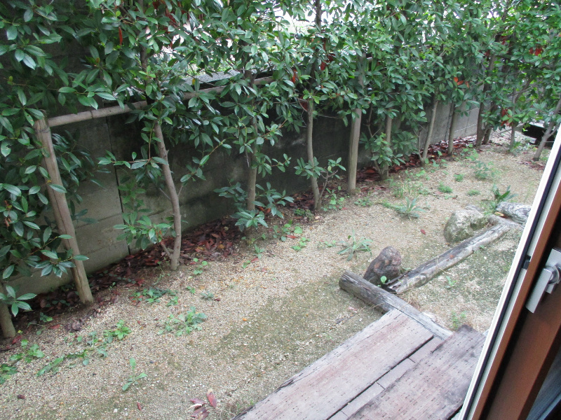 フォレストフォルム東山（南棟）の庭