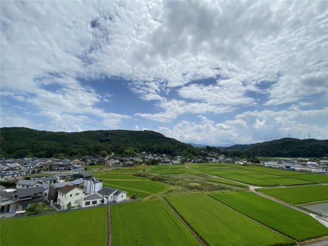 上益城郡御船町大字辺田見の賃貸マンションの展望
