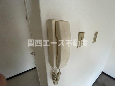  | グリーンアミレット