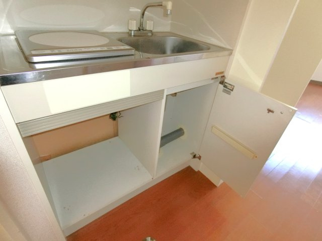 新茂原グリーンパレスの収納