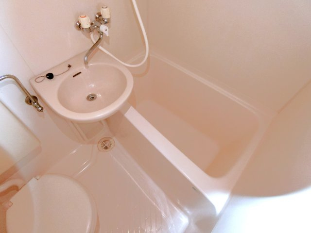 新茂原グリーンパレスの浴室