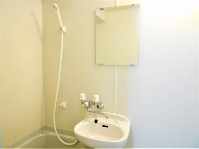 グレイセスＨＩＫＡＲＩの洗面所