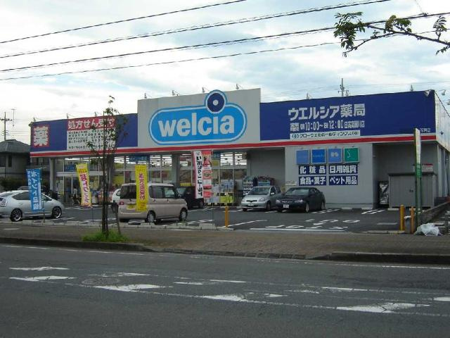 オーシャンディオスの周辺|ウエルシア日高高麗川店まで714ｍ