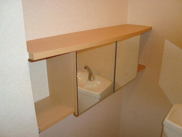 Ｈａｎａｍｉｚｕｋｉの収納|鏡付トイレ収納