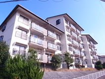 ドエルアズマの画像