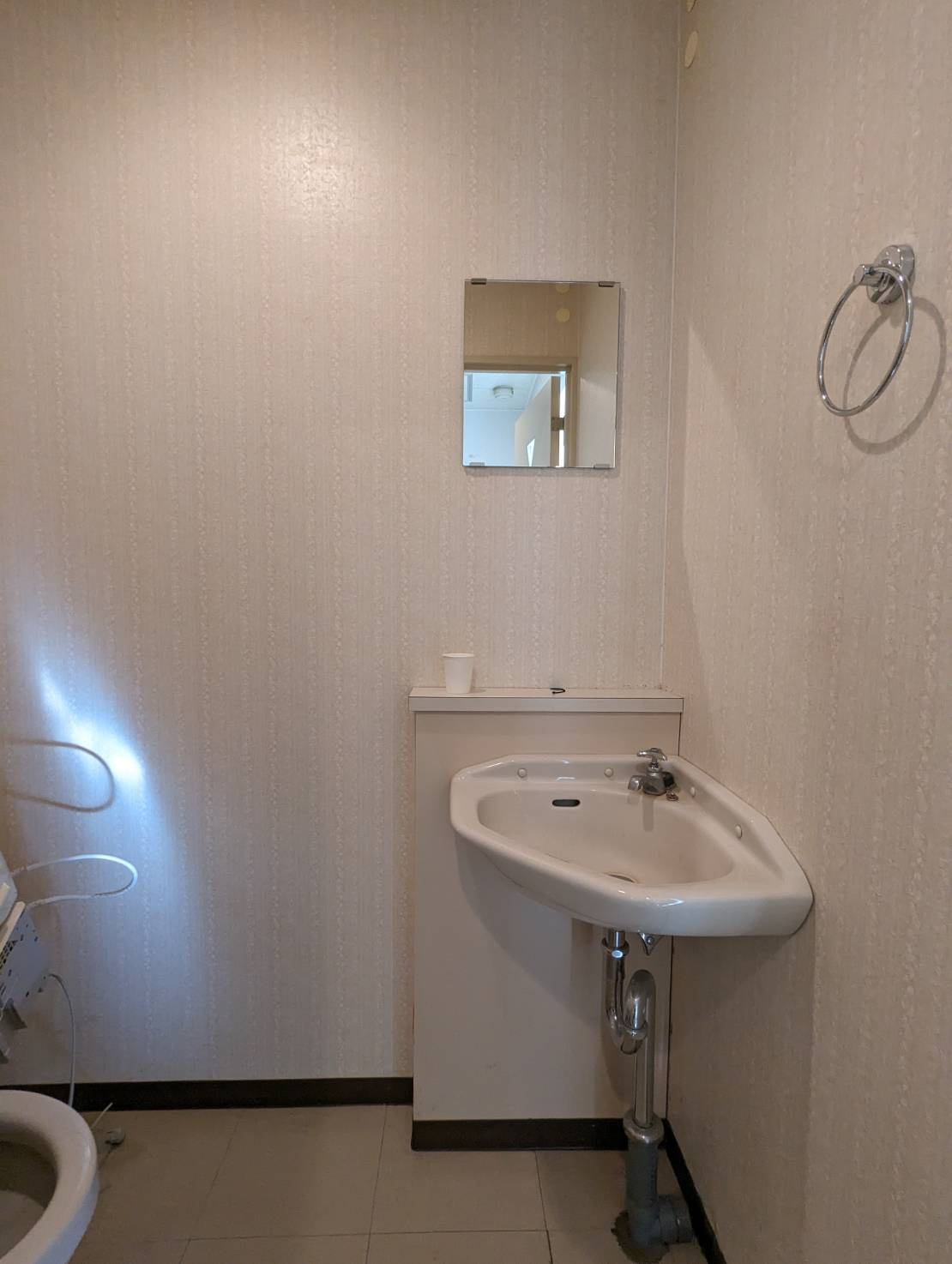 ハーバーシティサトウの洗面所