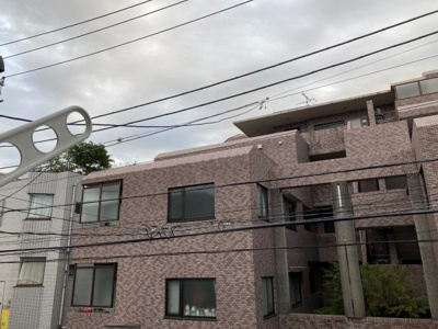 【展望】