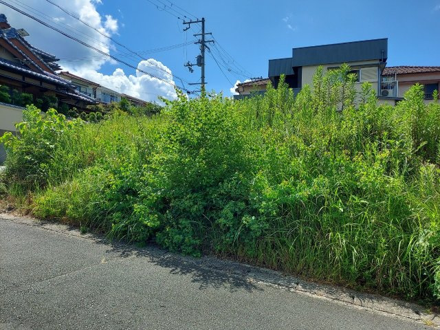 芳養松原売り地の区画図