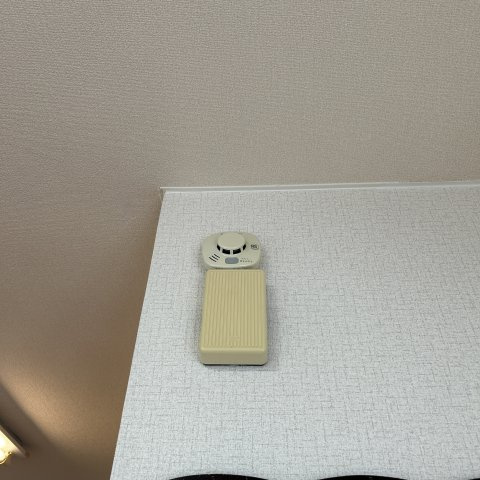 学）大昭グリーンヒル６のセキュリティ