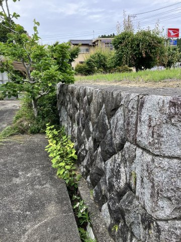 大津町北町字高井　売土地の外観