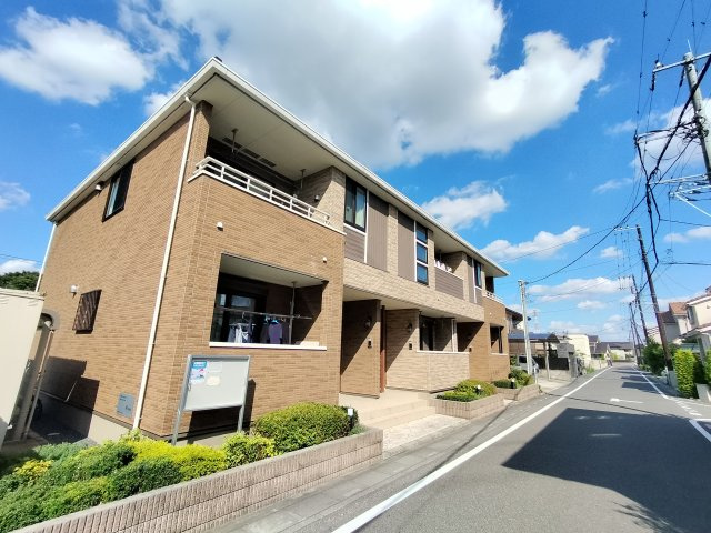 オークの外観