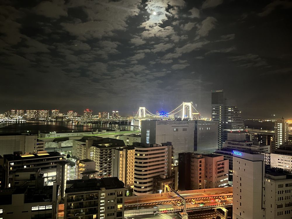 パークタワー芝浦ベイワード　オーシャンウイングの展望|物件から東京湾方面の眺望、レインボーブリッジも見えます　※周辺での建築・増築等により眺望に変化が加わる可能性があります。将来にわたり眺望は保証されていません。