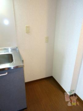 Ｓ.Ｔ.Ｖｉｌｌａ ＴＳＵＳＨＩＭＡ　Ｃのその他|冷蔵庫スペース