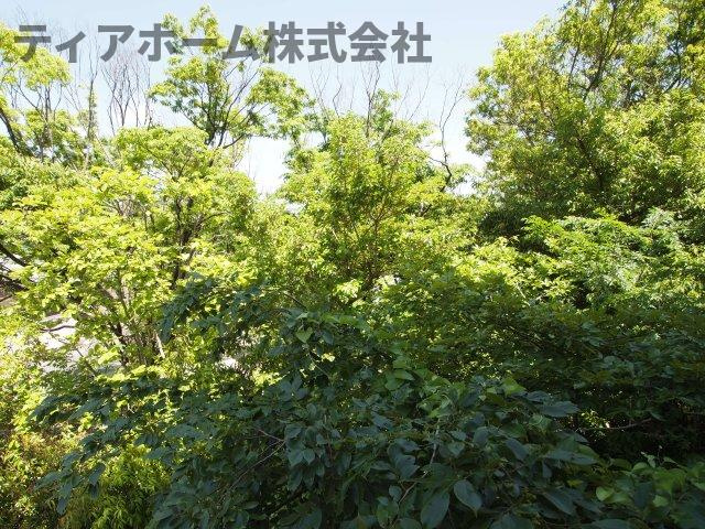 シティライフ高田の展望