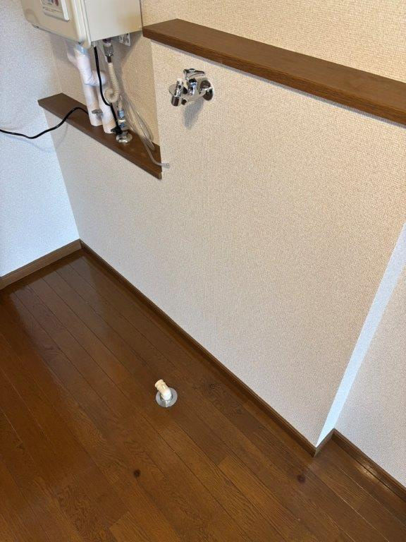レザンA棟の洗面所