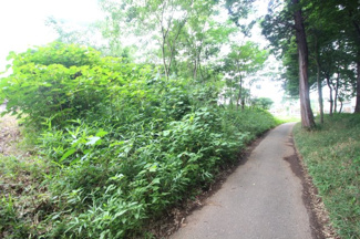 【前面道路含む現地写真】