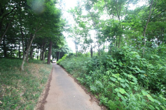 【前面道路含む現地写真】