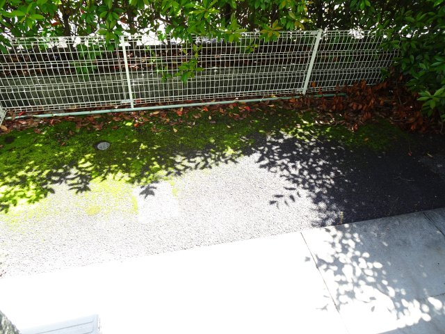 エメラルド77の庭|イメージ写真