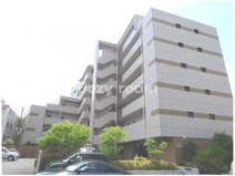 アグレアーブルの画像