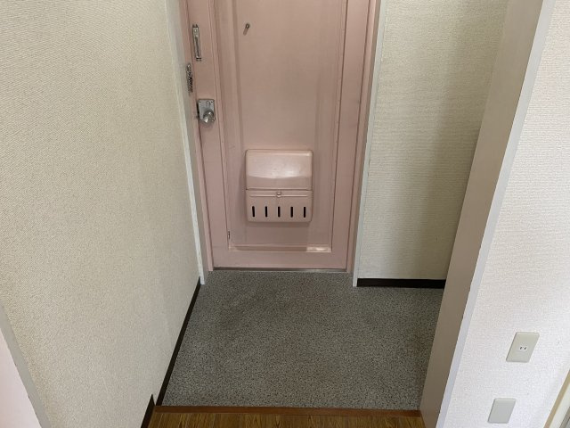 メゾン市川壱番館の玄関