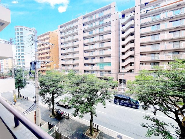 ロマネスク大濠の展望