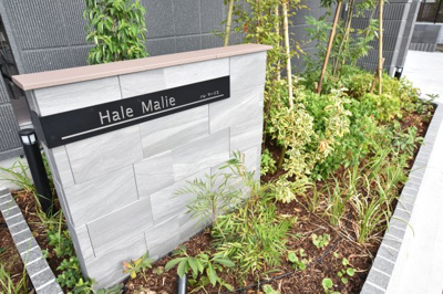 【エントランス】 | Hale Malie ハレマーリエ