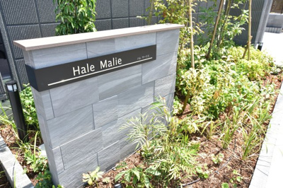 【エントランス】 | ハレマーリエ